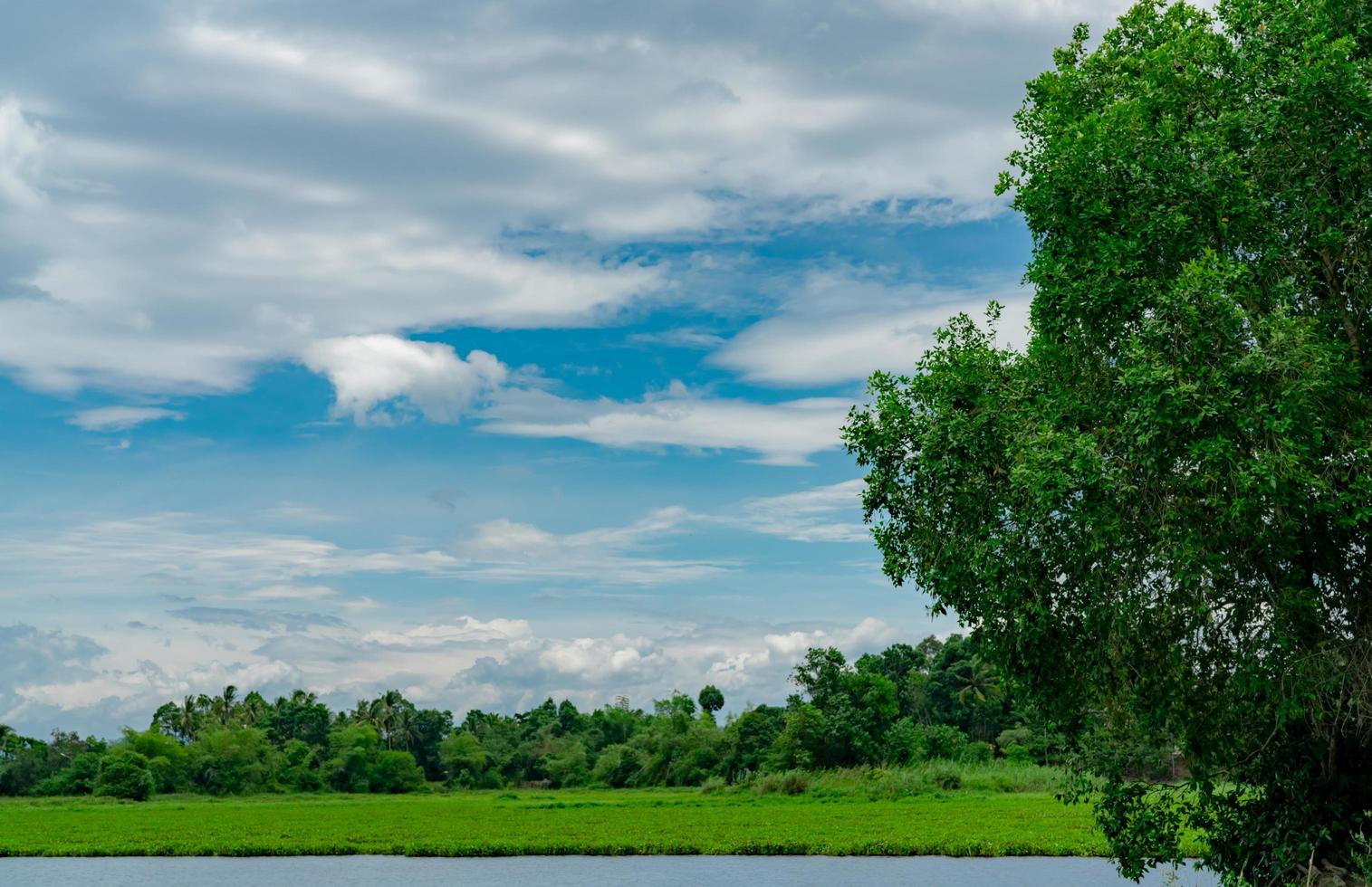 bosque de árboles verdes detrás del estanque. hermosa vista del paisaje del lago con cielo azul y nubes blancas y esponjosas. árbol verde y campo de hierba alrededor del estanque. clima tropical en verano. paisaje de la naturaleza. aire fresco. foto