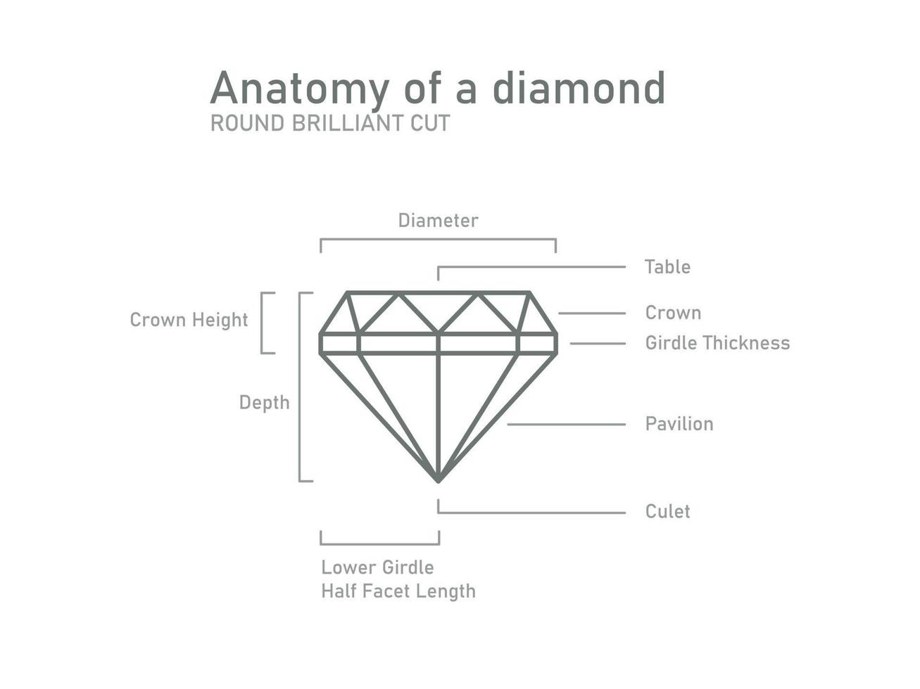 Anatomía de un esquema de diamantes. formas y nombres brillantes. vector