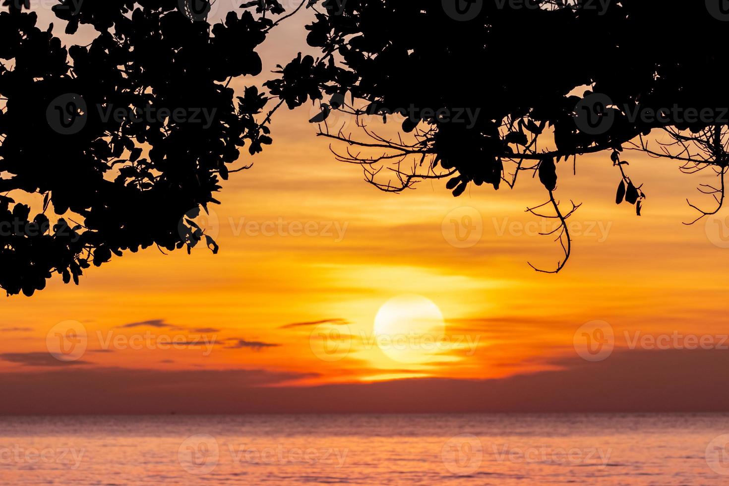 cielo del atardecer de verano en la playa tropical. vista desde debajo del árbol. árbol de silueta y cielo naranja al atardecer. horizonte y agua de mar. vista panorámica del gran sol y el cielo dorado del atardecer. viajes de vacaciones de verano. foto