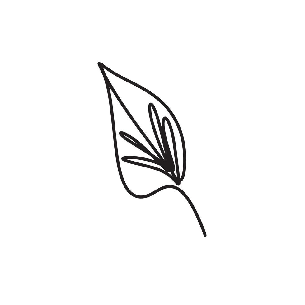 leaf line art, contour drawing. Minimalism art vector