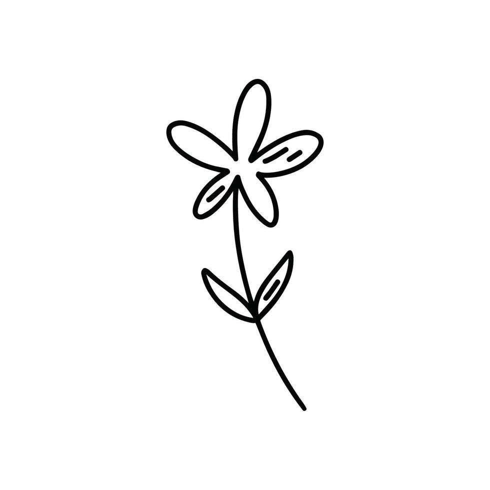 One wild flower outline, doodle illustration, vector