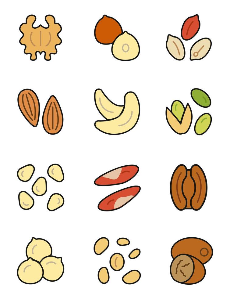 frutos secos y semillas en un conjunto de ilustraciones vectoriales de diseño plano vector