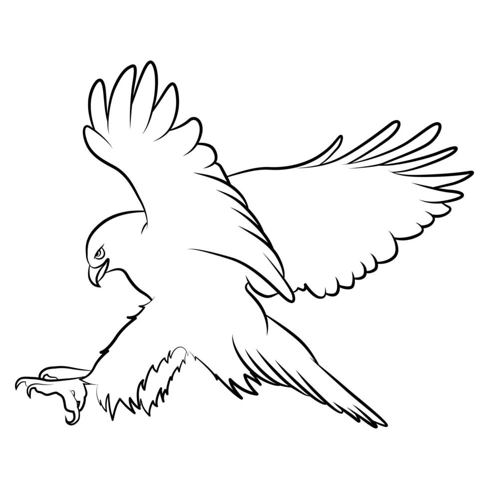 Eagle in Outline Sketch. vector
