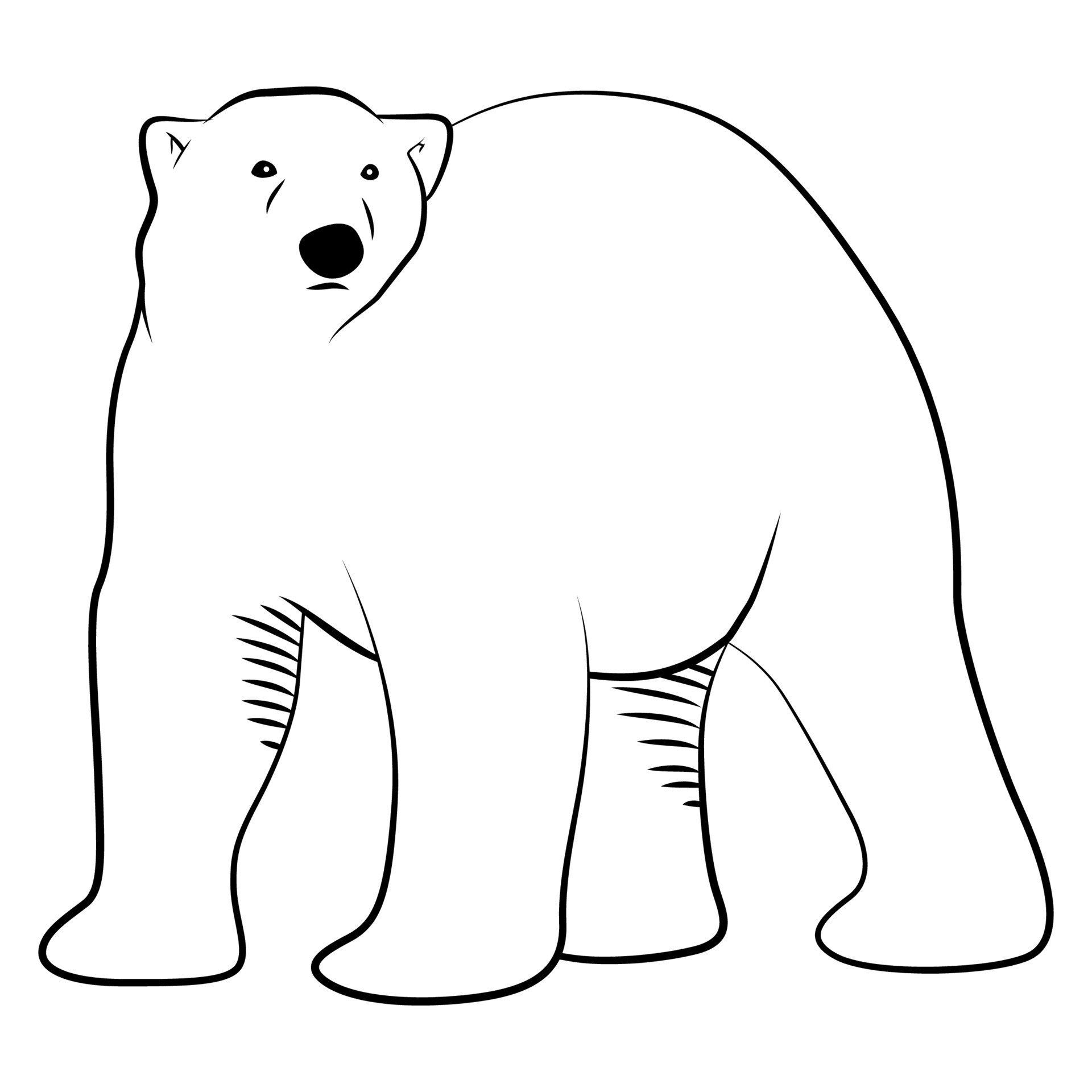 Polar Bear In Outline Sketch 7768705 Vector Art At Vecteezy