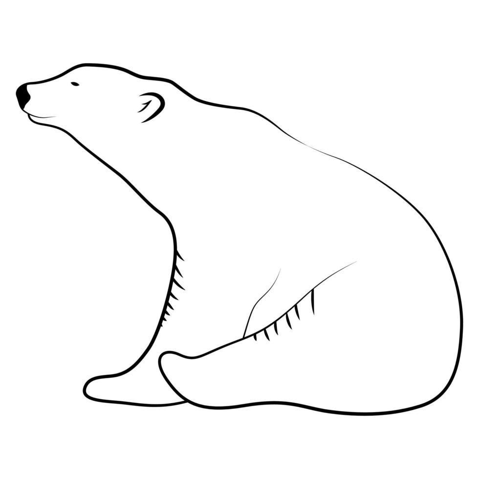 Polar Bear in Outline Sketch. vector