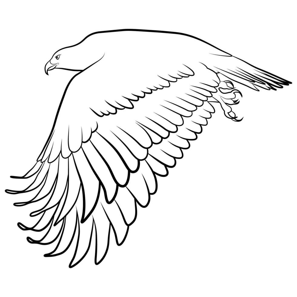 Eagle in Outline Sketch. vector