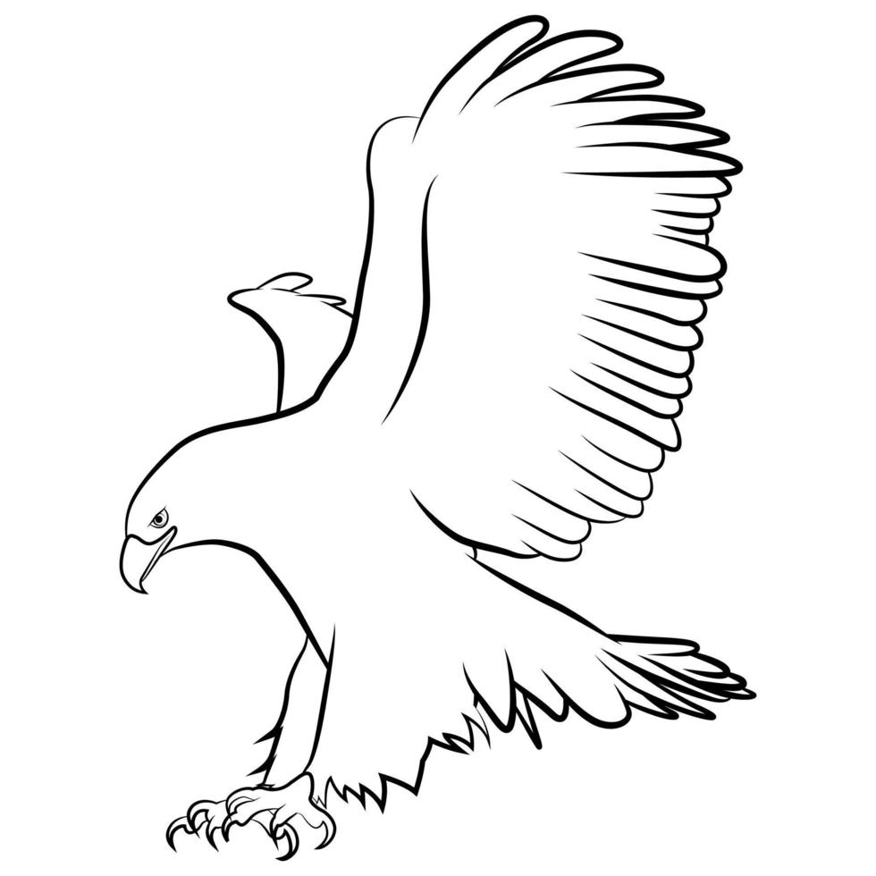 Eagle in Outline Sketch. vector