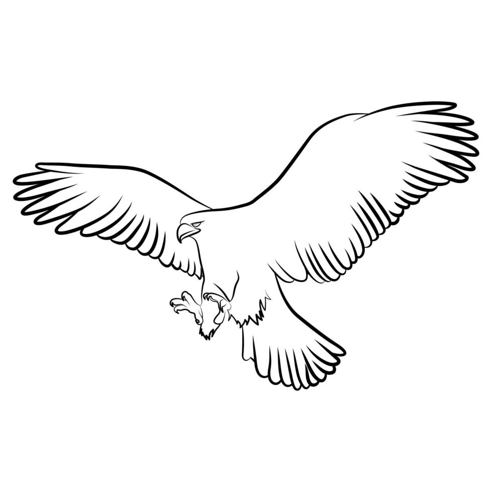 Eagle in Outline Sketch. vector