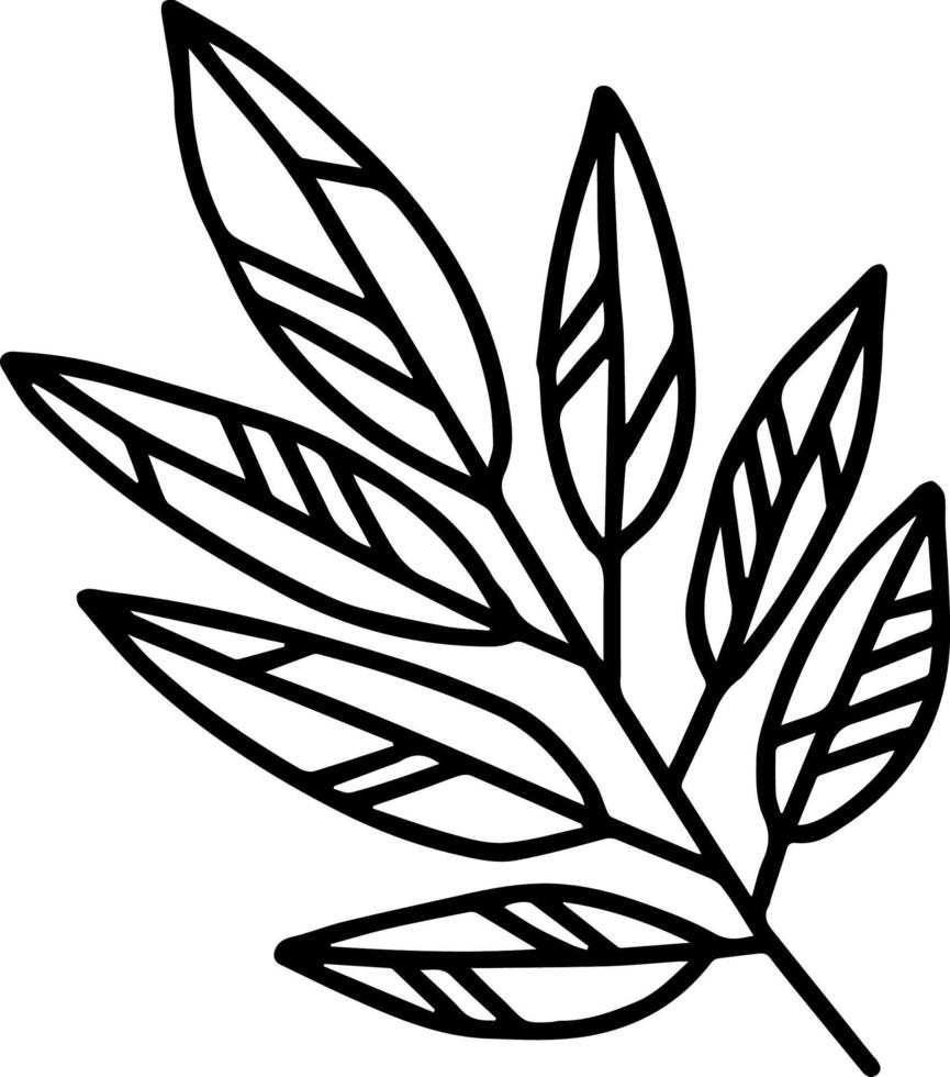 vector branch with leaves black and white. Minimalistic botanical illustration, hand drawing