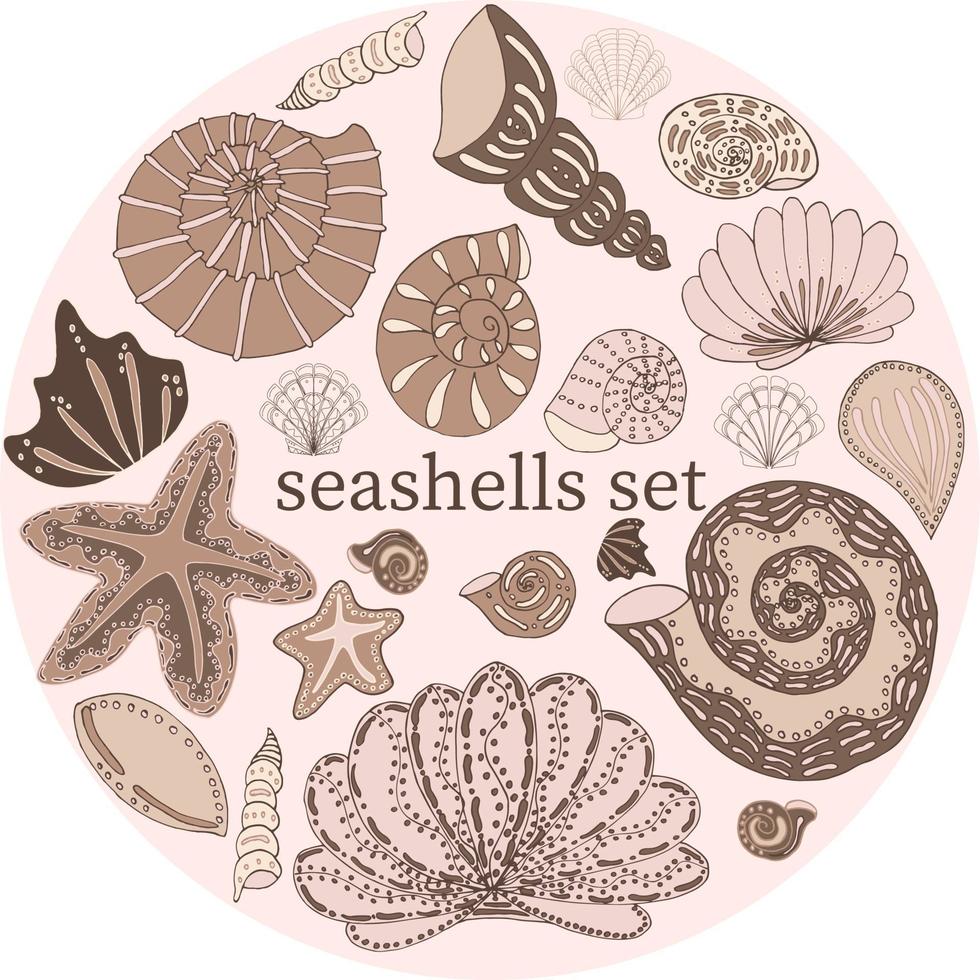Vector set of seashells isolated in different sizes