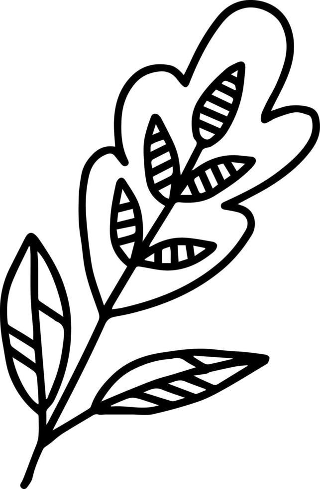 vector branch with leaves black and white. Minimalistic botanical illustration, hand drawing
