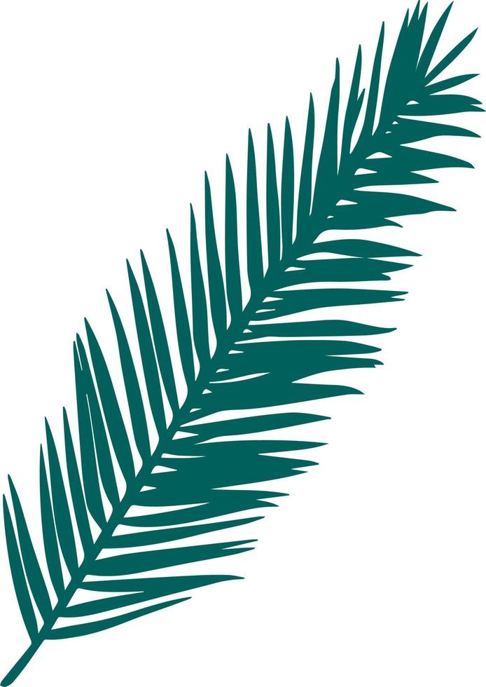 palm branch isolated hand drawn vector illustration. Green tropical branch silhouette outline leaves vacation travel