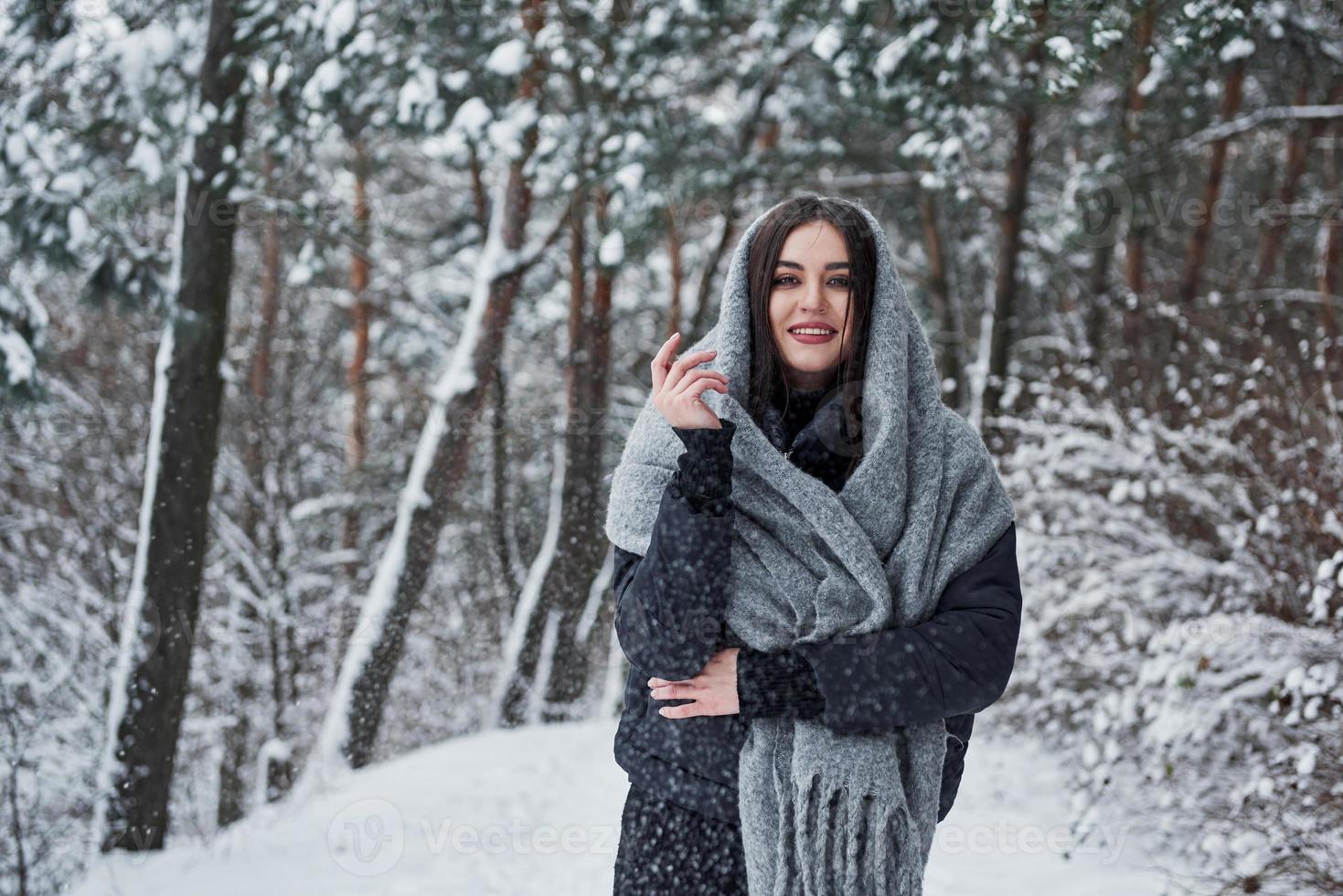 Looking into the camera. Portrait of charming woman in the black jacket and grey scarf in the winter forest photo