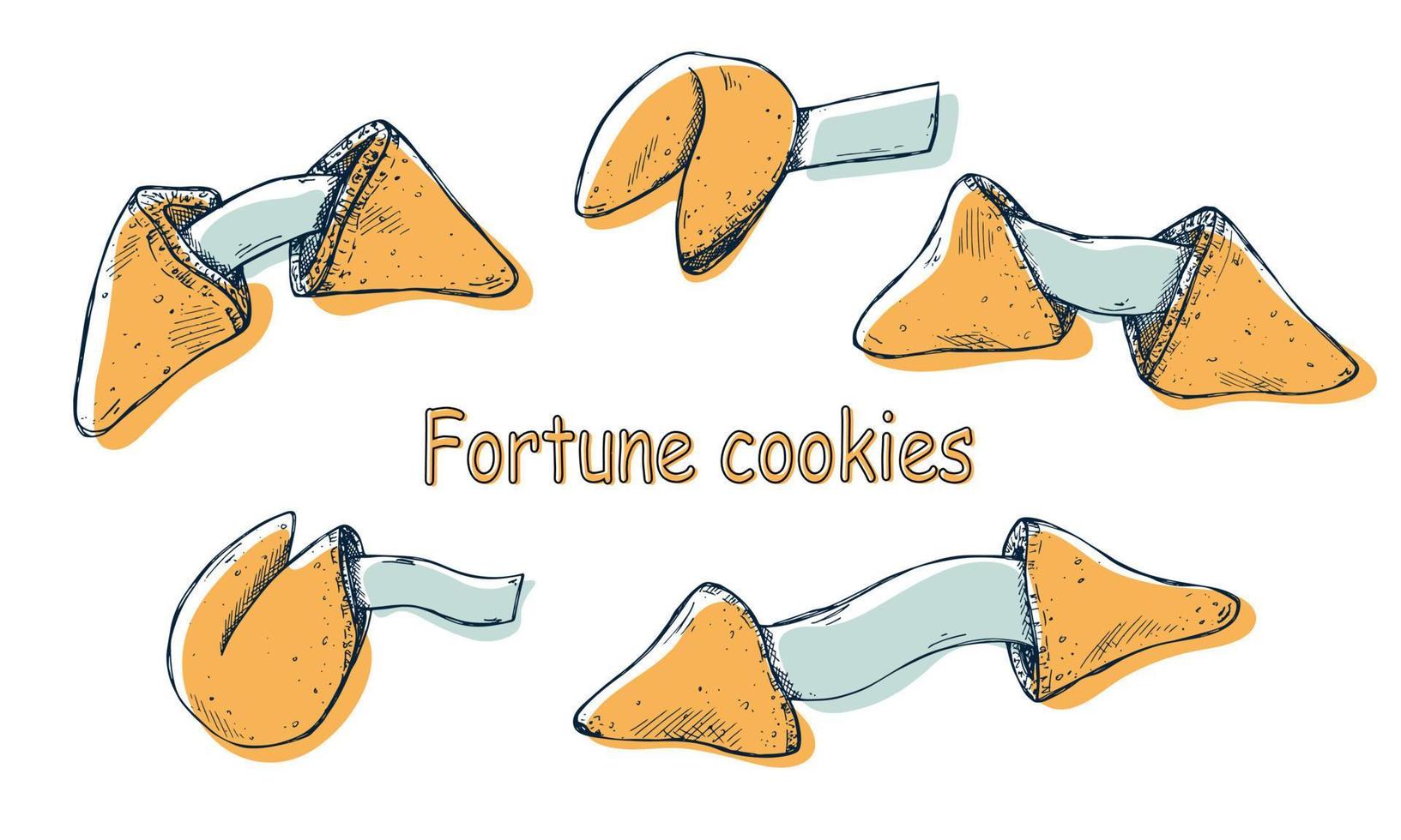 Chinese fortune cookies vector hand drawn set. Colorful food illustration. Crisp cookie with a blank piece of paper inside. For print, web, design, decor, logo.