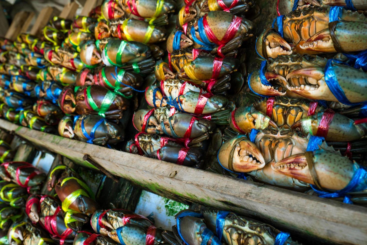 escila serrata. los cangrejos frescos están atados con cuerdas de plástico de colores y dispuestos en filas ordenadas en el mercado de mariscos en tailandia. materias primas para el concepto de restaurantes de mariscos. foto