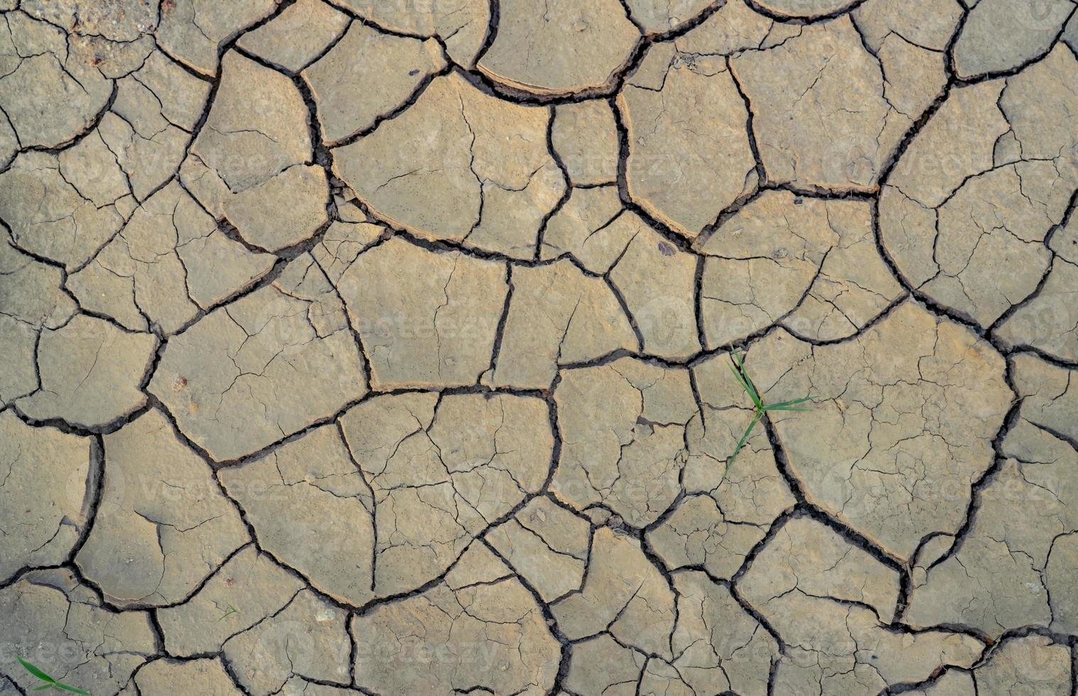 Climate change and drought land. Water crisis. Arid climate. Crack soil. Global warming. Environment problem. Nature disaster. Dry soil texture background. Dry and cracked skin need moisture concept. photo