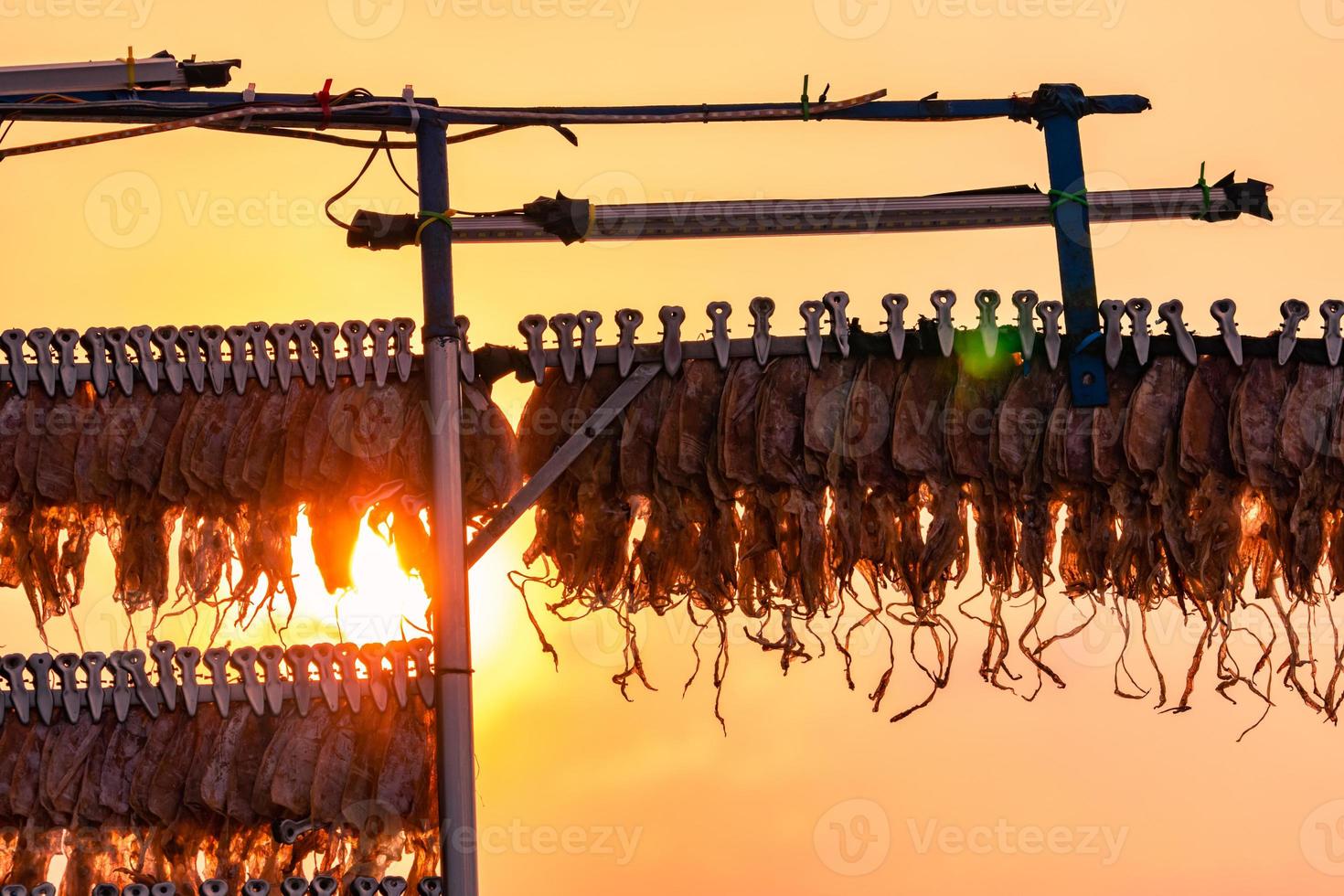 Dried squid hanging with clip in a line against sunset sky. Street food in Thailand. Delicious dried seafood. Dried cuttlefish ready to grilled and serve. Food preservation culture. Sun drying squid. photo