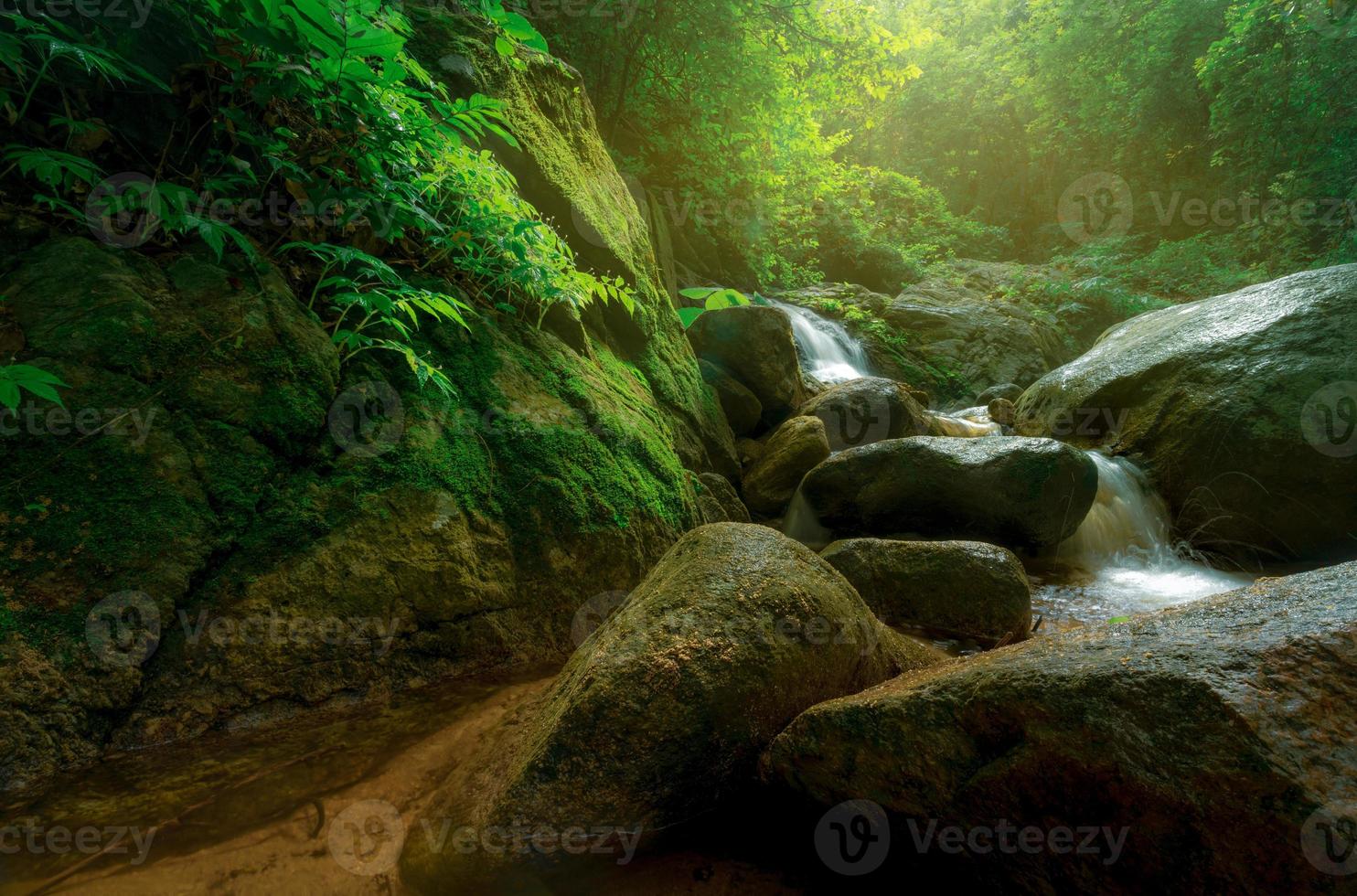 Rock or stone at waterfall. Beautiful waterfall in jungle. Waterfall in tropical forest with green tree and sunlight. Waterfall is flowing in jungle. Nature background. Green season travel in Thailand photo