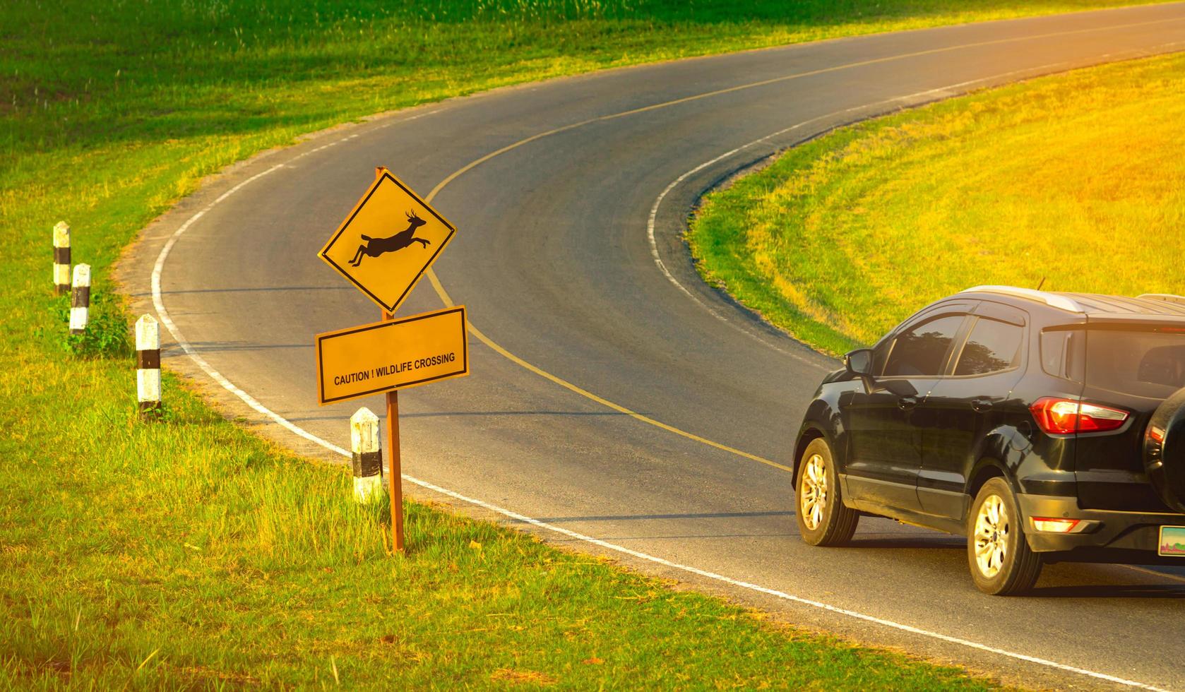 Black SUV car of the tourist driving with caution during travel at curve asphalt road near yellow traffic sign with deer jumping inside the sign and have message caution wildlife crossing photo