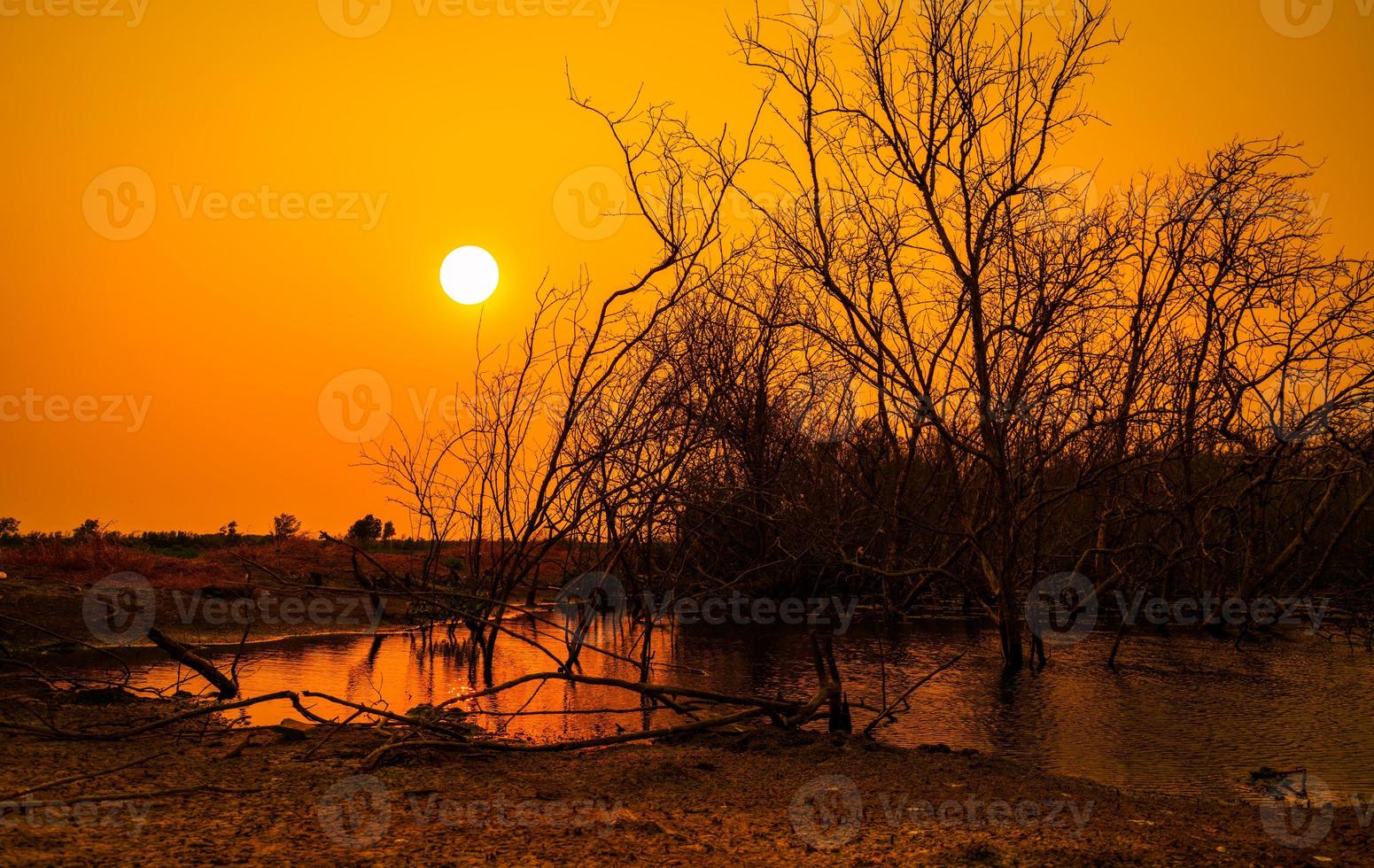 árboles muertos en el lago y fondo naranja del cielo del atardecer. el cambio climático y la sequía de la tierra. Crisis de agua. clima árido. problema del medio ambiente. desastre natural. paisaje natural. crisis de agua de la tierra. foto