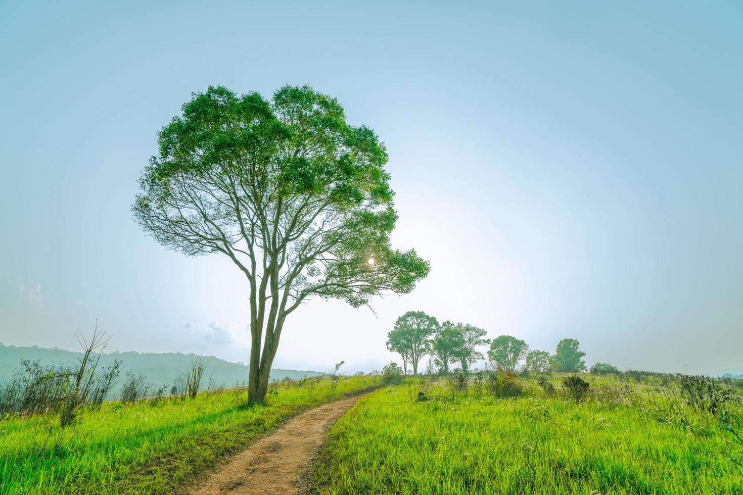 Beautiful rural landscape of green grass field with dusty country road and trees on hill near the mountain and clear blue sky. Nature composition photo