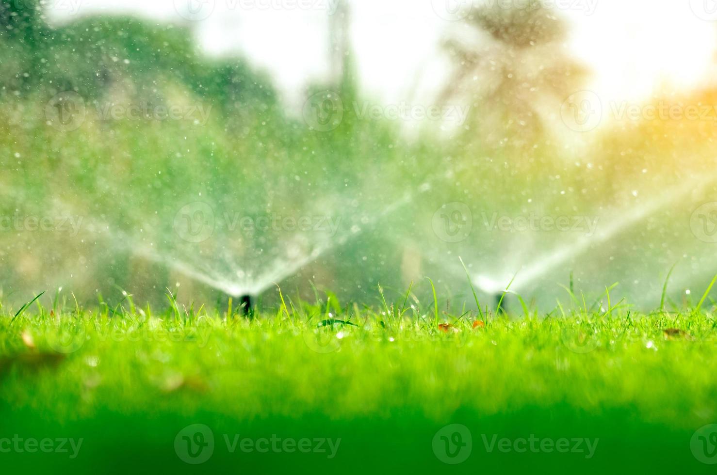 Automatic lawn sprinkler watering green grass. Sprinkler with automatic system. Garden irrigation system watering lawn. Water saving or water conservation from sprinkler system with adjustable head. photo