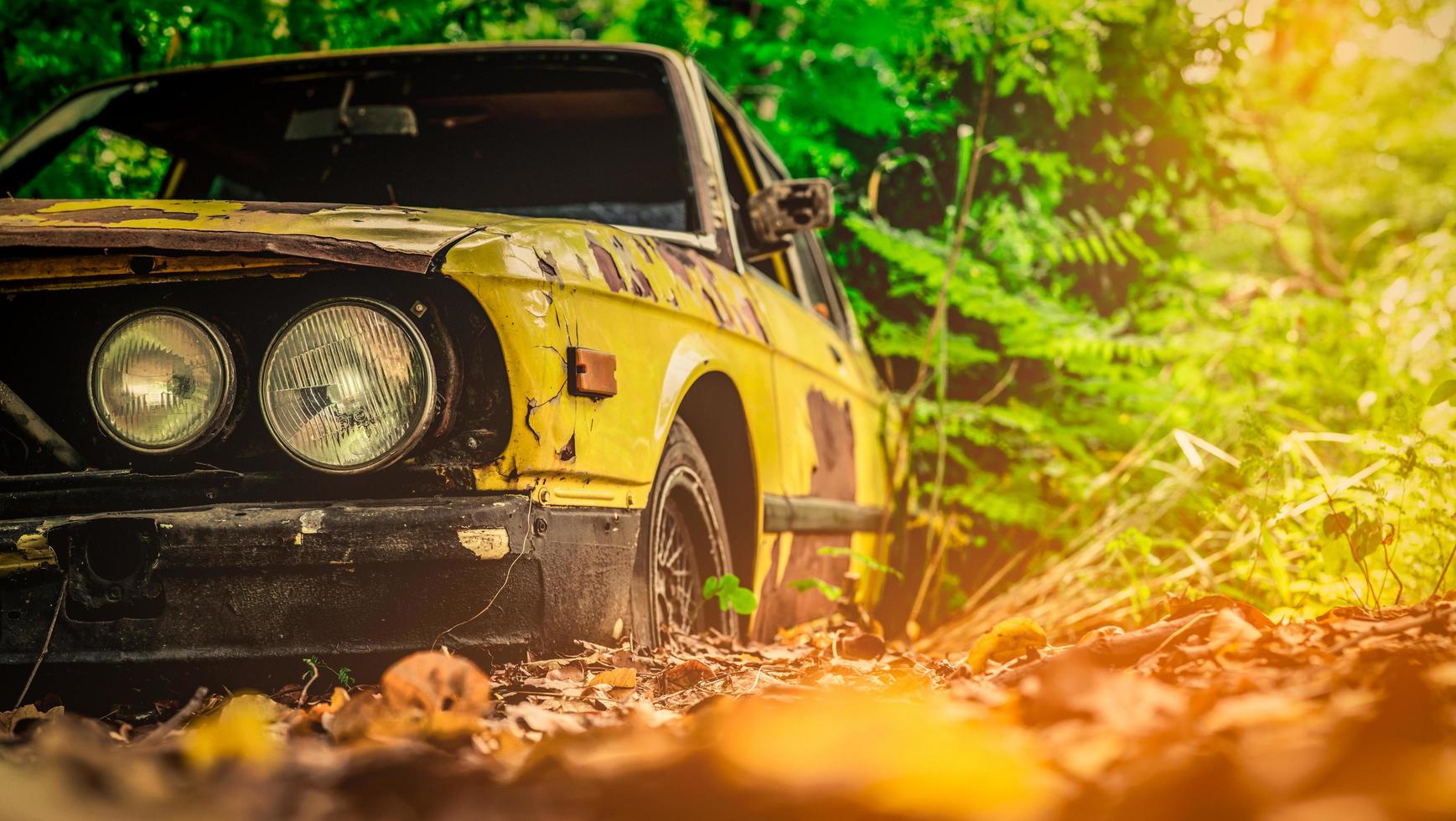 Old wrecked car in vintage style. Abandoned rusty yellow car in the forest. Closeup front view headlights of rusty wrecked abandoned car on blurred green tree background . Art of abandoned used car. photo