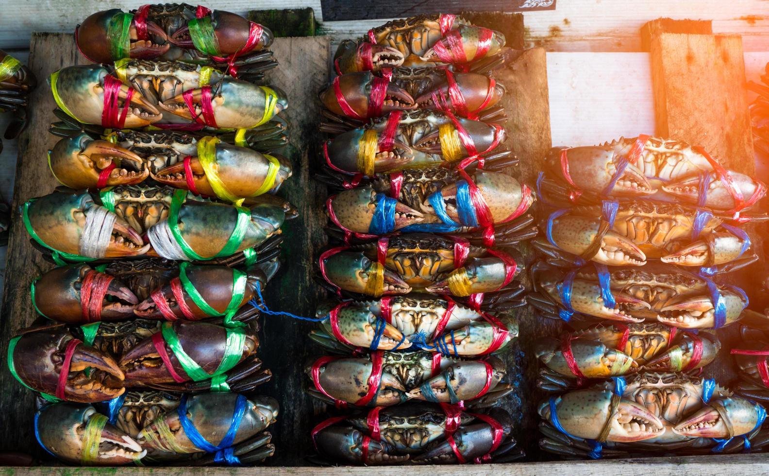 escila serrata. los cangrejos frescos están atados con cuerdas de plástico de colores y dispuestos en filas ordenadas en el mercado de mariscos en tailandia. materias primas para el concepto de restaurantes de mariscos. foto