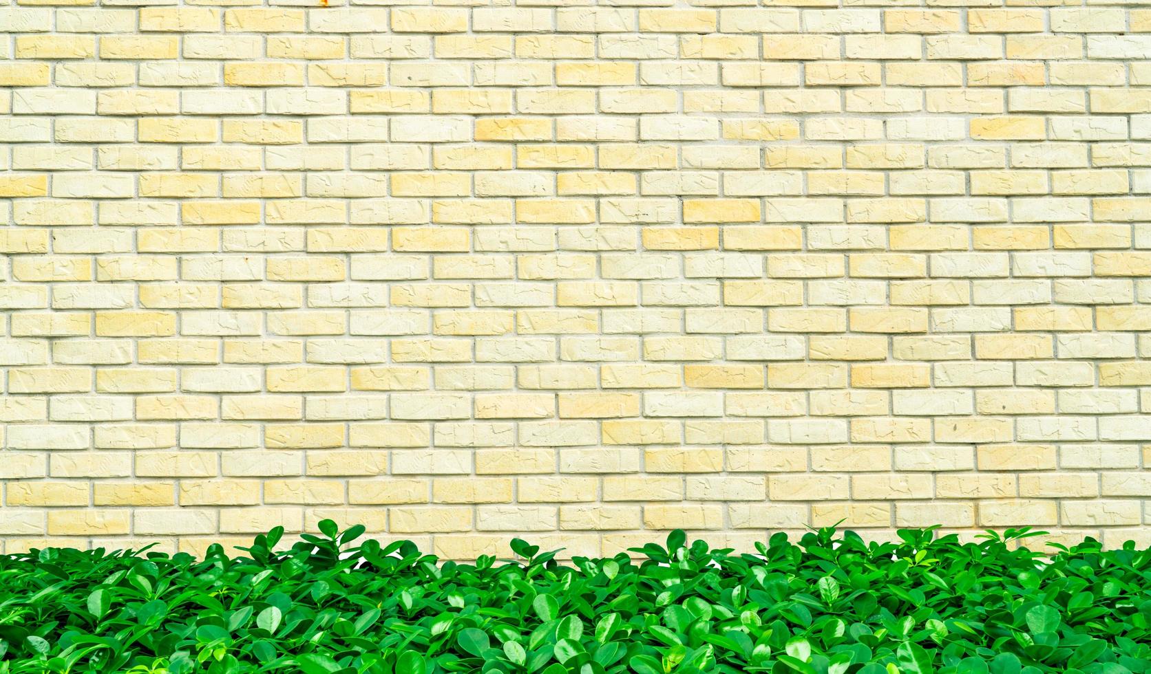 marco vacío amarillo y blanco de pared de ladrillo áspero decorado con hojas verdes en la parte inferior del marco. pared de ladrillo de casa vintage exterior o interior con cerca de arbusto verde. arquitectura fondo amarillo foto