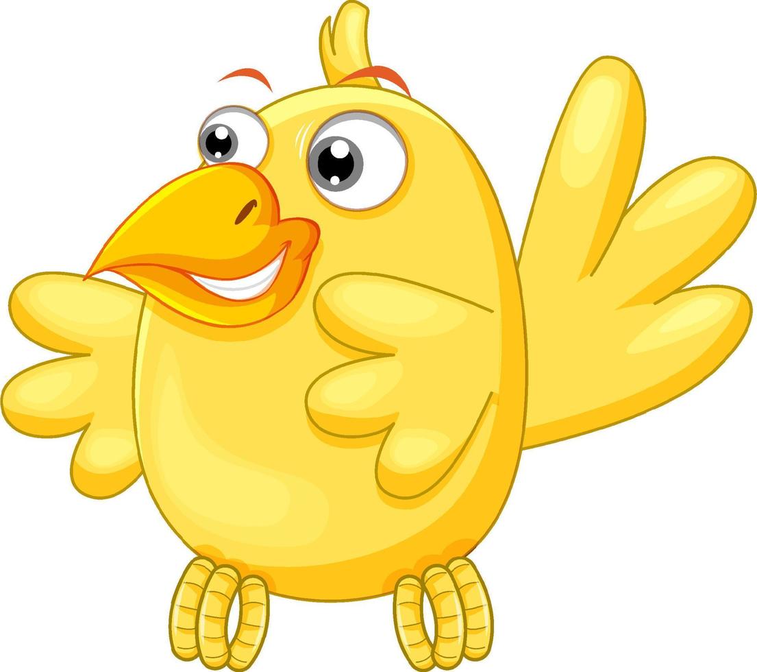 Bird with yellow feather vector