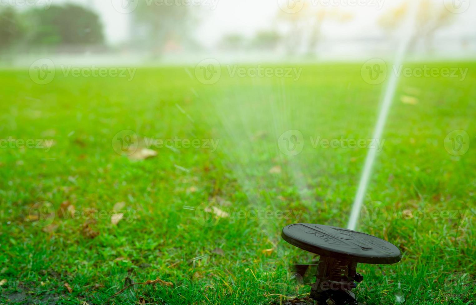 Automatic lawn sprinkler watering green grass. Garden, yard irrigation system watering lawn. Water saving or conservation from sprinkler system. Turf farm business. Sprinkler service and maintenance. photo