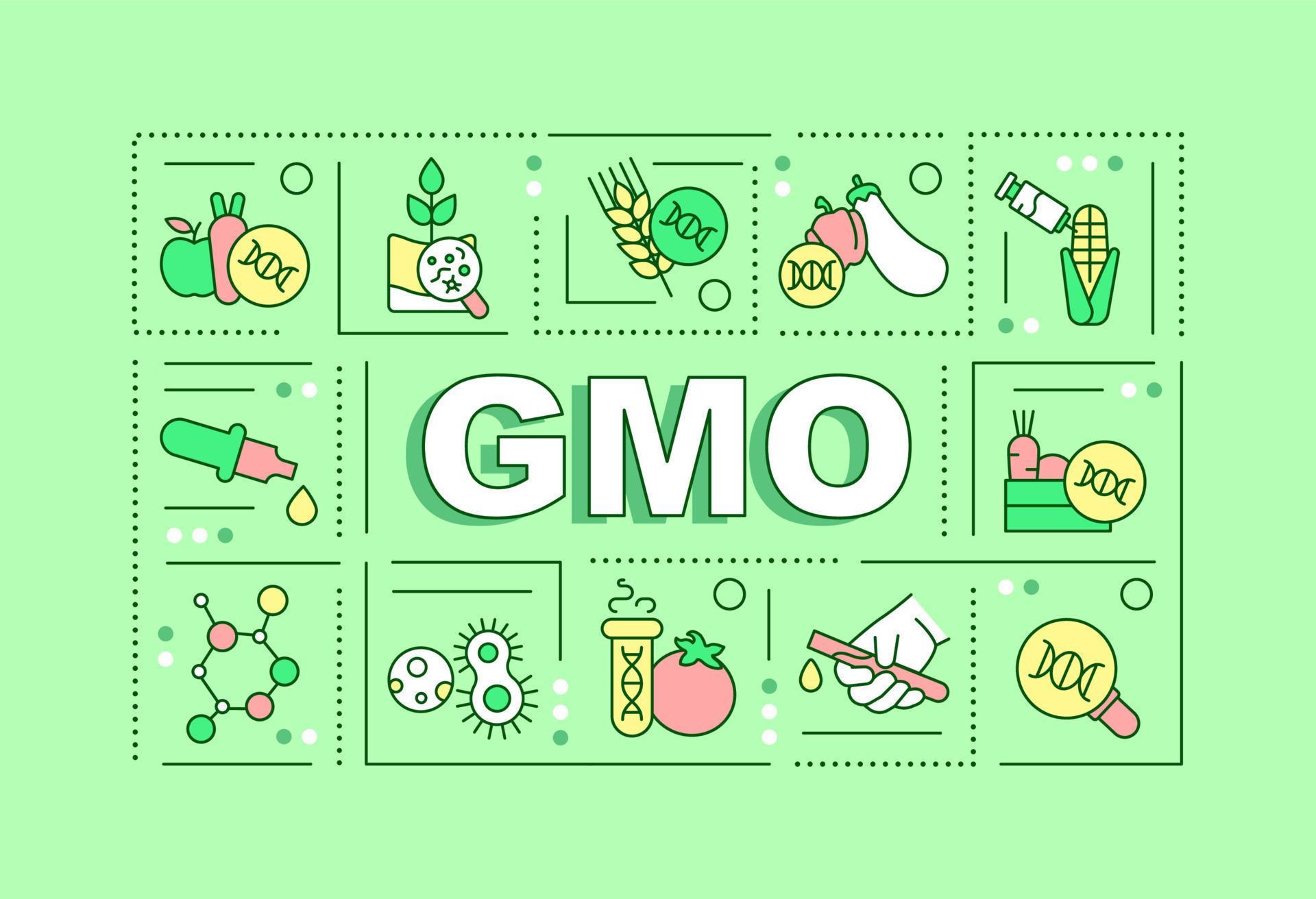 GMO word concepts green banner. modified organism