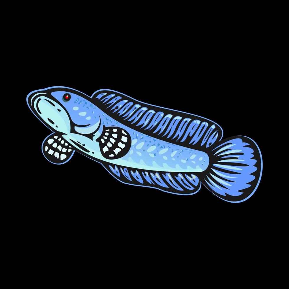 channa fish illustration vector design with blue color concept