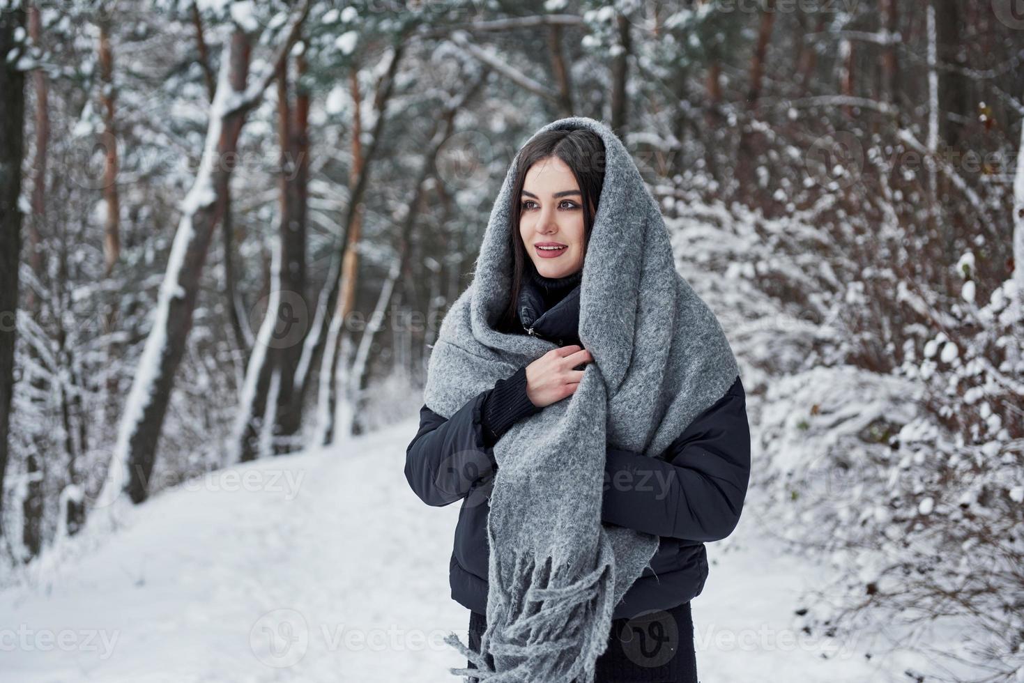 Winter is charming. Portrait of charming woman in the black jacket and grey scarf in the snowy cold forest photo