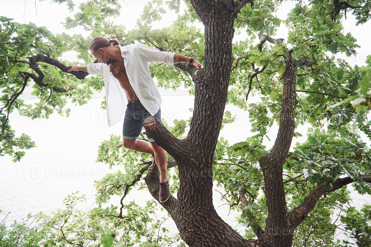 A young man climbed a tree in the forest to look around and find the right path. The way of life of travel and nature with nature photo