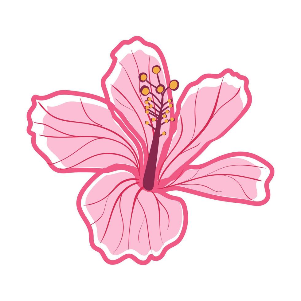 tropical hibisco flor decorativa exótica planta vector
