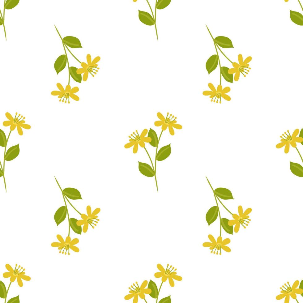 Seamless yellow pattern with St. John's wort plant flowers. Botanical vector illustration. Vector background for printing on paper or fabric, designer decor