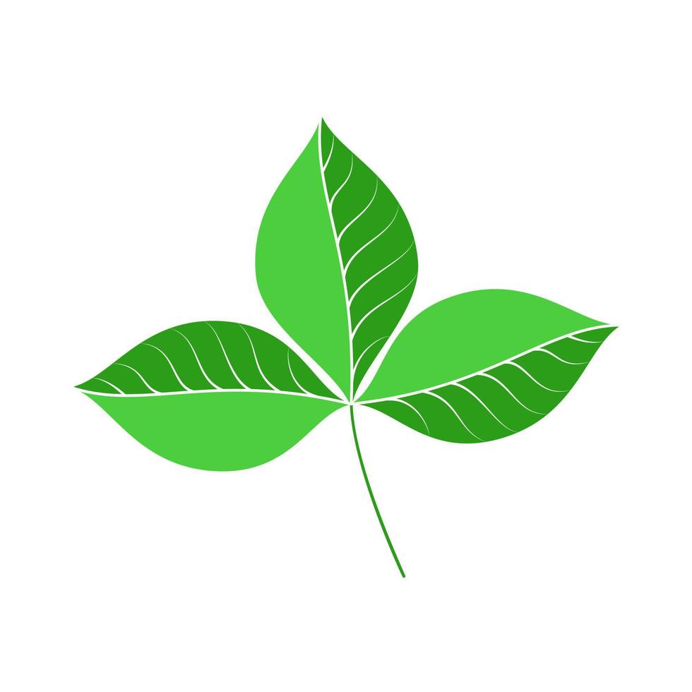 Vector image of strawberry leaves, leaf icon