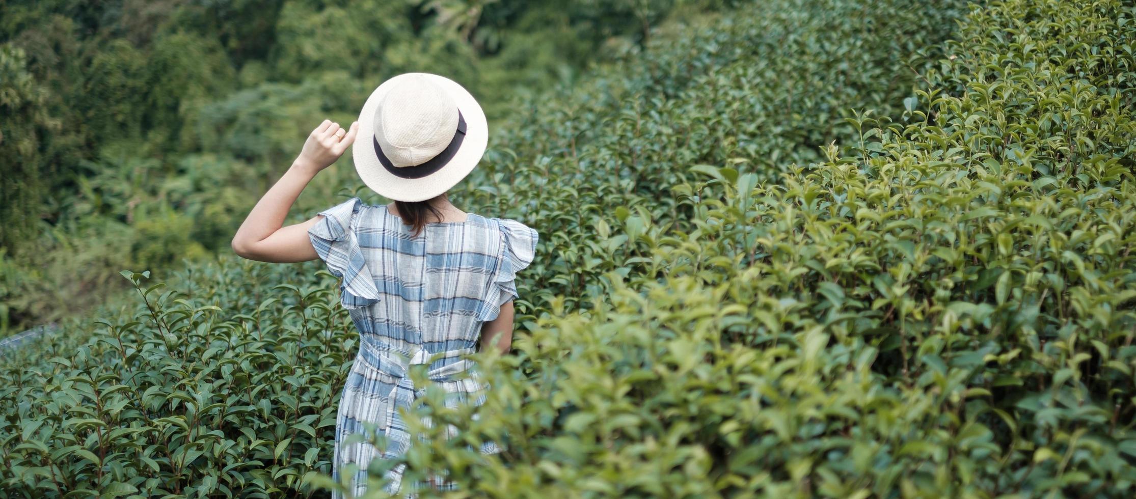 Happy woman tourist in blue dress and hat enjoy beautiful Tea garden.Traveler visiting in green natural hills in morning. travel, vacation, trip and journey concept photo