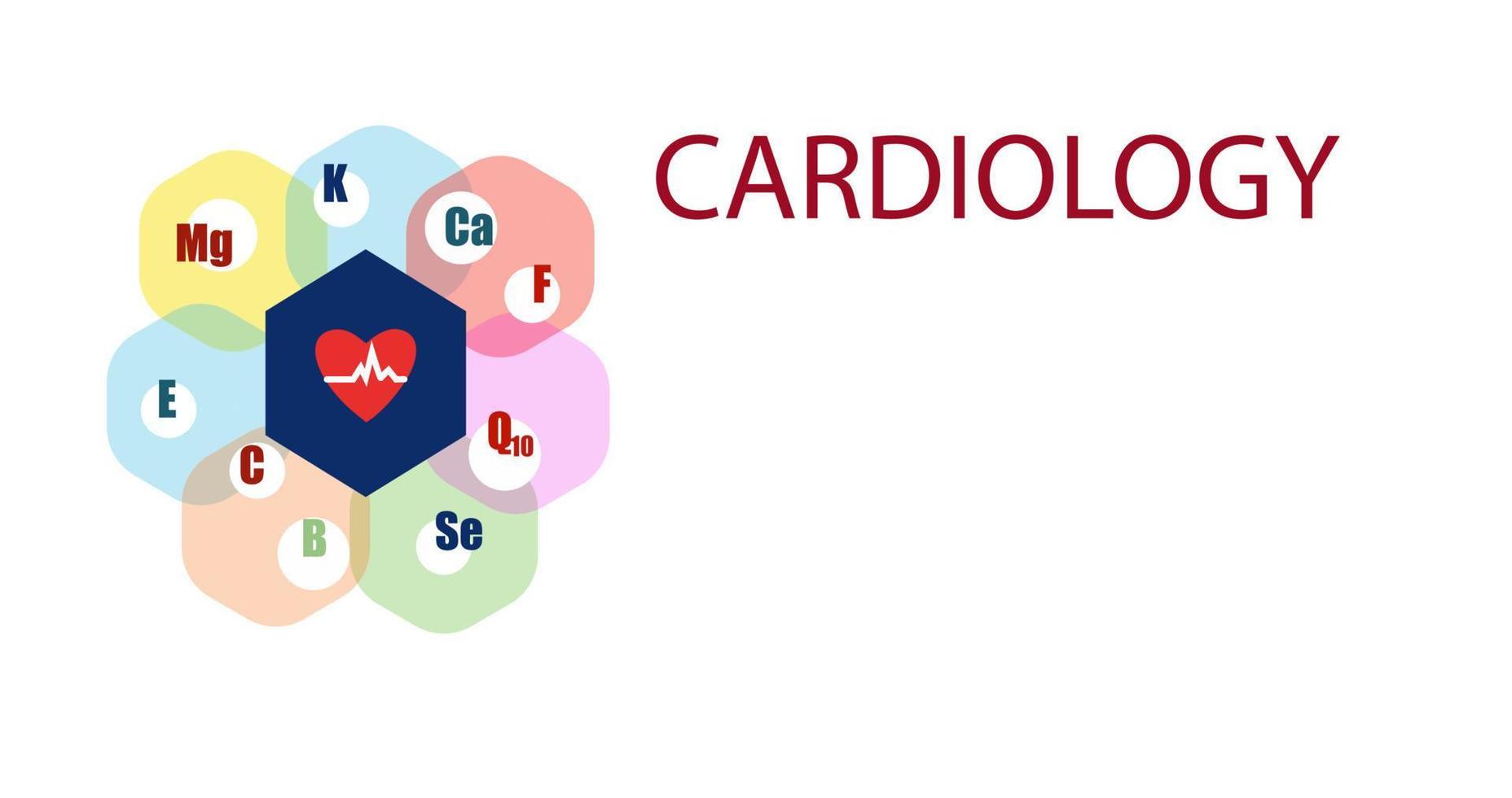 cardiología.cardiólogo. ilustración de vector de servicio de atención médica.