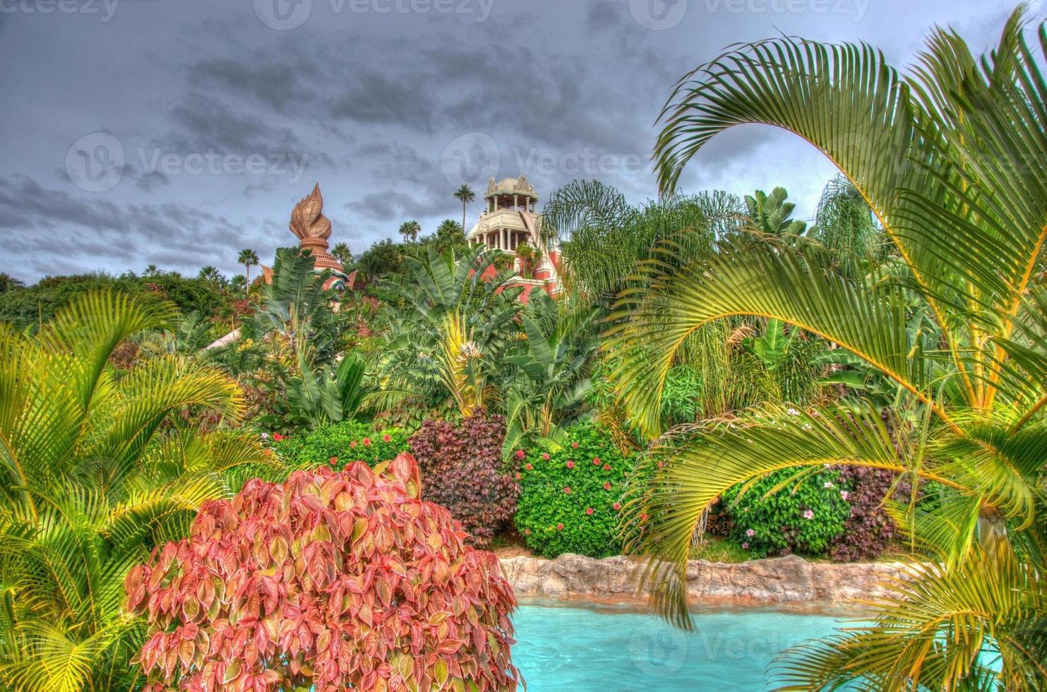 River in the park with palms, Tenerife, Canarian Islands photo