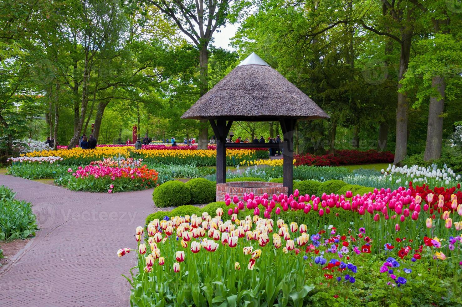 Well with colorful tulips , Keukenhof Park, Lisse in Holland photo