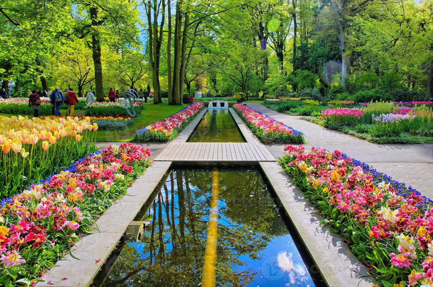 Water path surrounded by colorful tulips, Keukenhof Park, Lisse in Holland photo