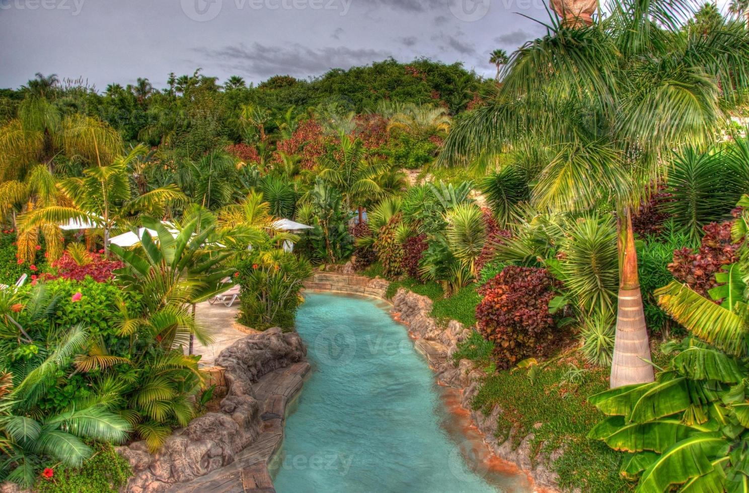River in the park with palms, Tenerife, Canarian Islands photo