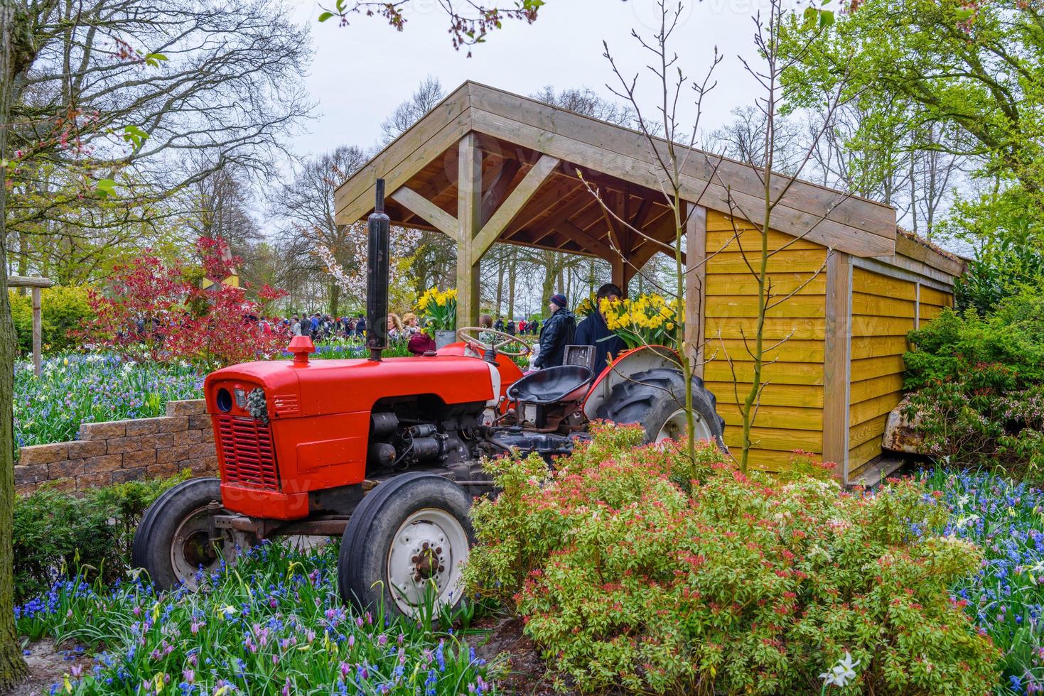 Red tractor in Keukenhof park, Lisse, Holland, Netherlands photo