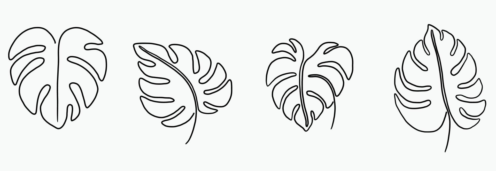 Simplicity monstera leaf freehand continuous line drawing flat design. vector