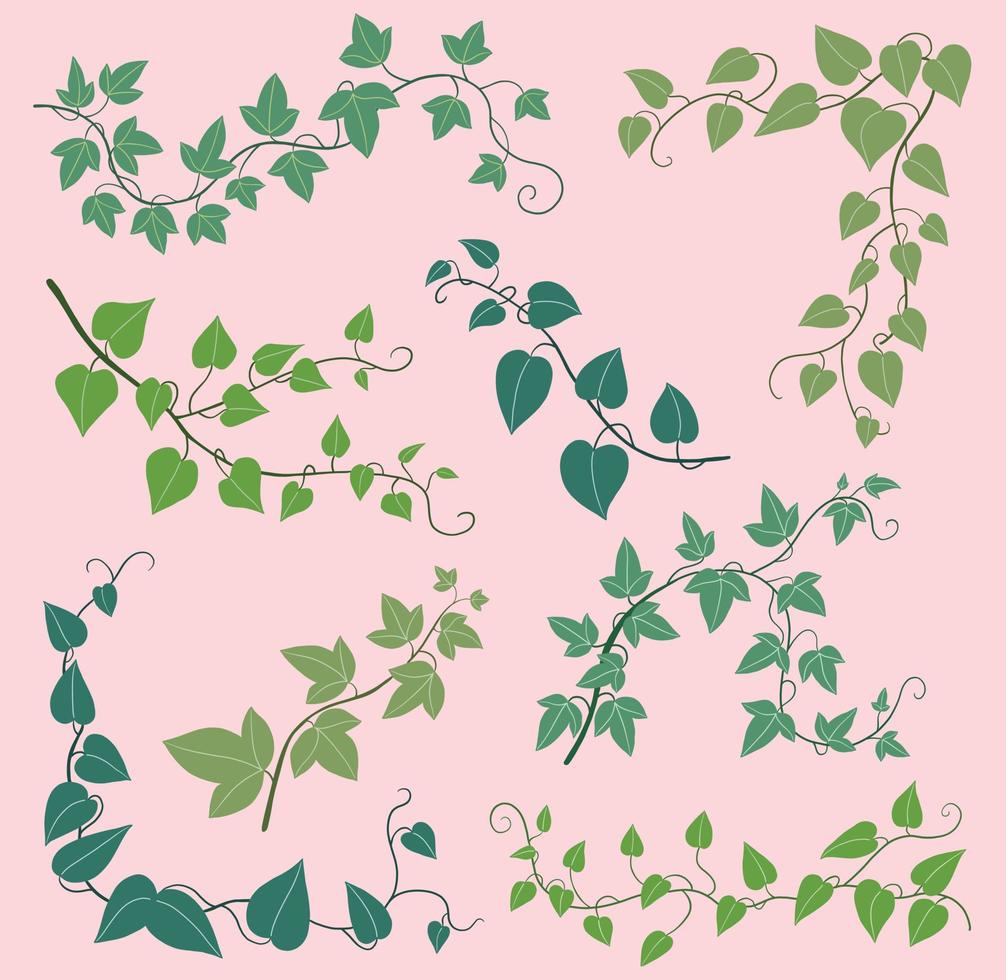 Simplicity ivy freehand drawing flat design collection. vector