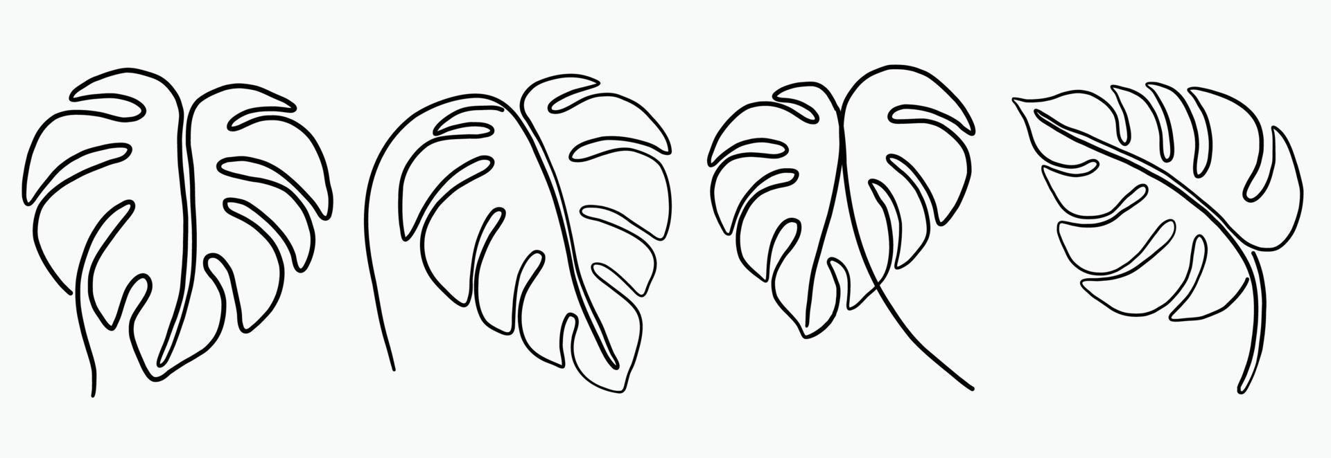 Simplicity monstera leaf freehand continuous line drawing flat design. vector