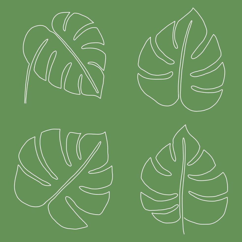 Simplicity monstera leaf freehand continuous line drawing flat design. vector