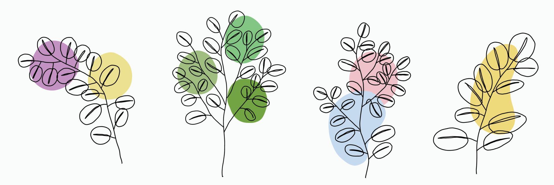 Smplicity eucalyptus leaf freehand continuous line drawing flat design. vector